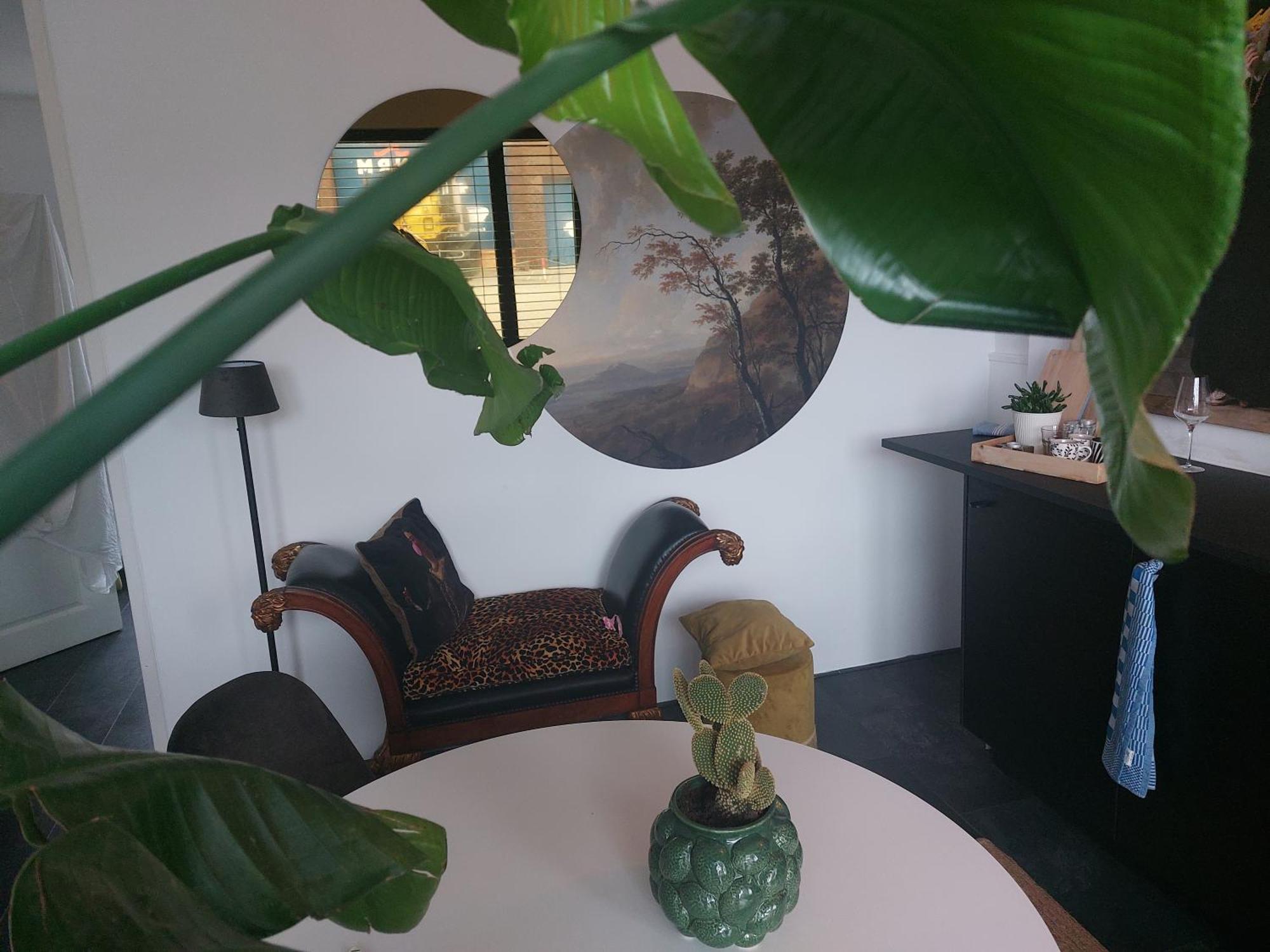 Rembrandtsbeachsuite Зандвоорт Екстериор снимка